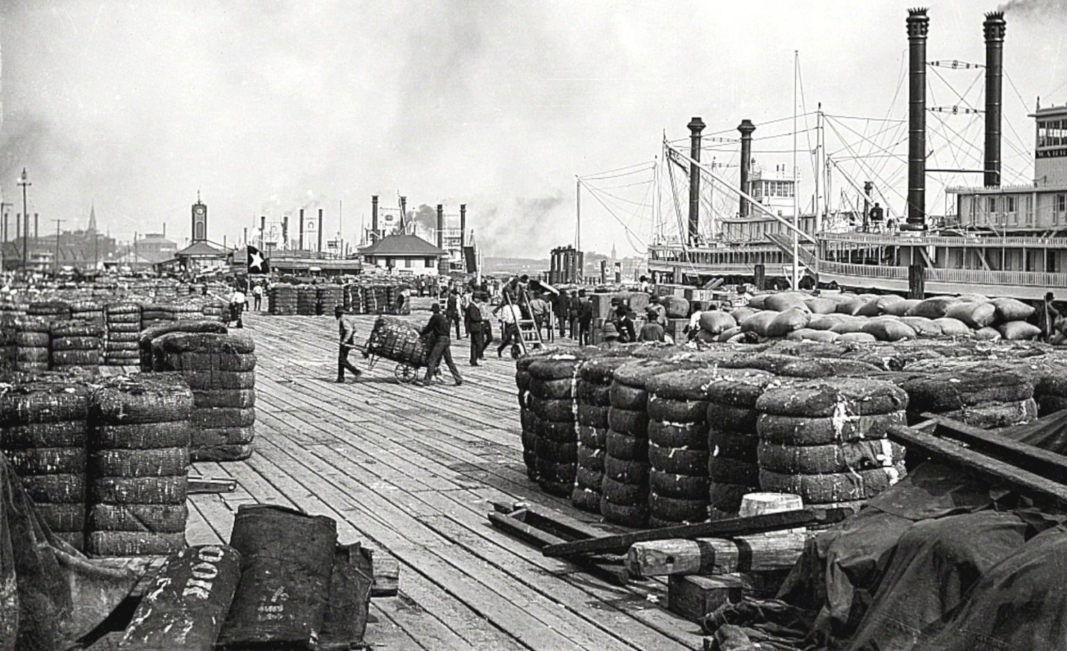 Cotton on the levee c. 1890