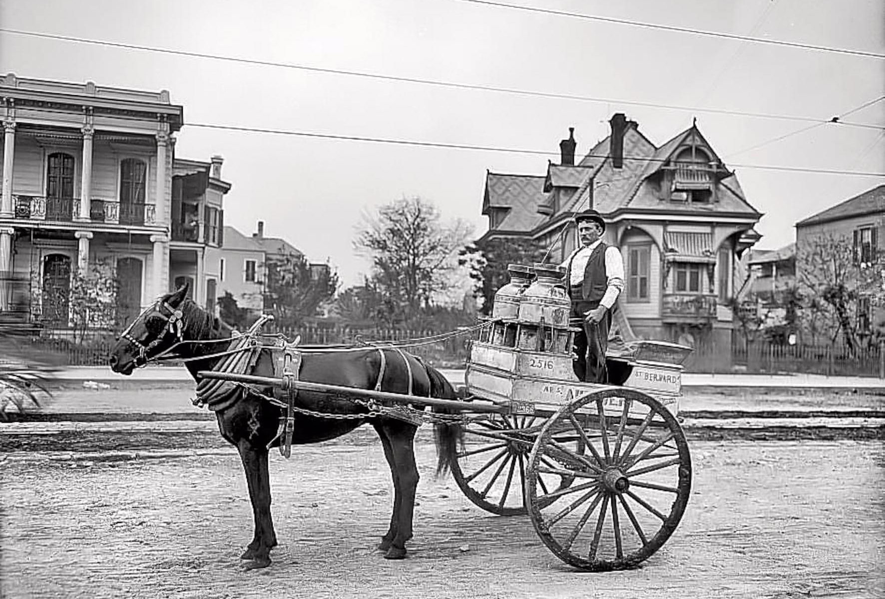Milk cart in Esplanade Avenue, c. 1903